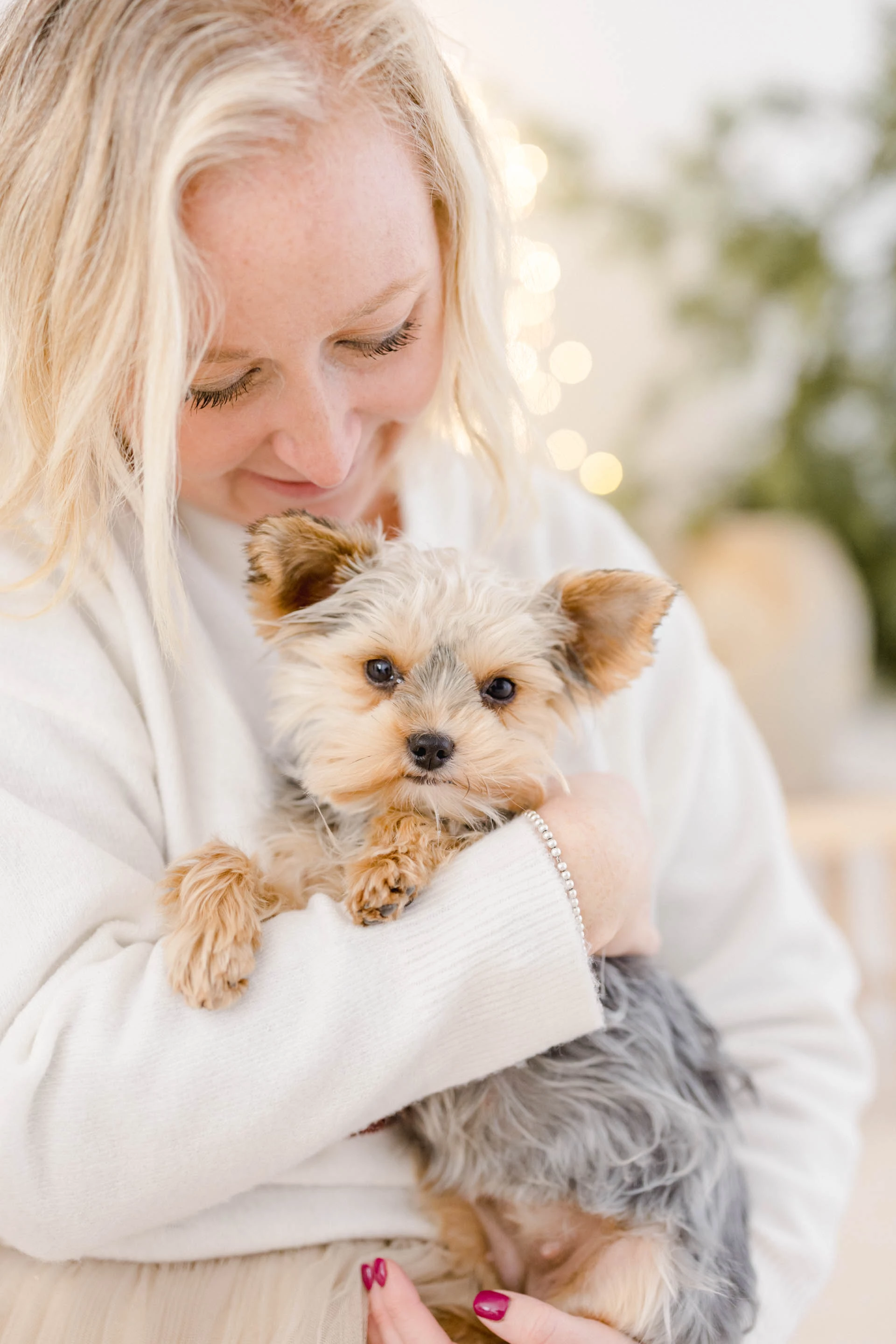 sourire bonheur gris marron animal